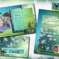 Collection libellule