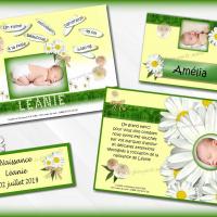 collection marguerite