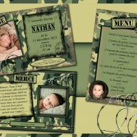 collection militaire