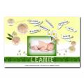 faire part marguerite jaune et vert