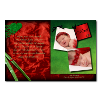 carte de remerciements coccinelle vert et rouge