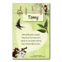 Faire part printemps hirondelle