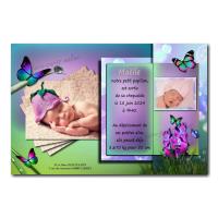 faire part papillon violet et vert