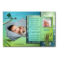 faire part libellule bleu et vert