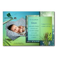 faire part libellule livre ouvert bleu et vert