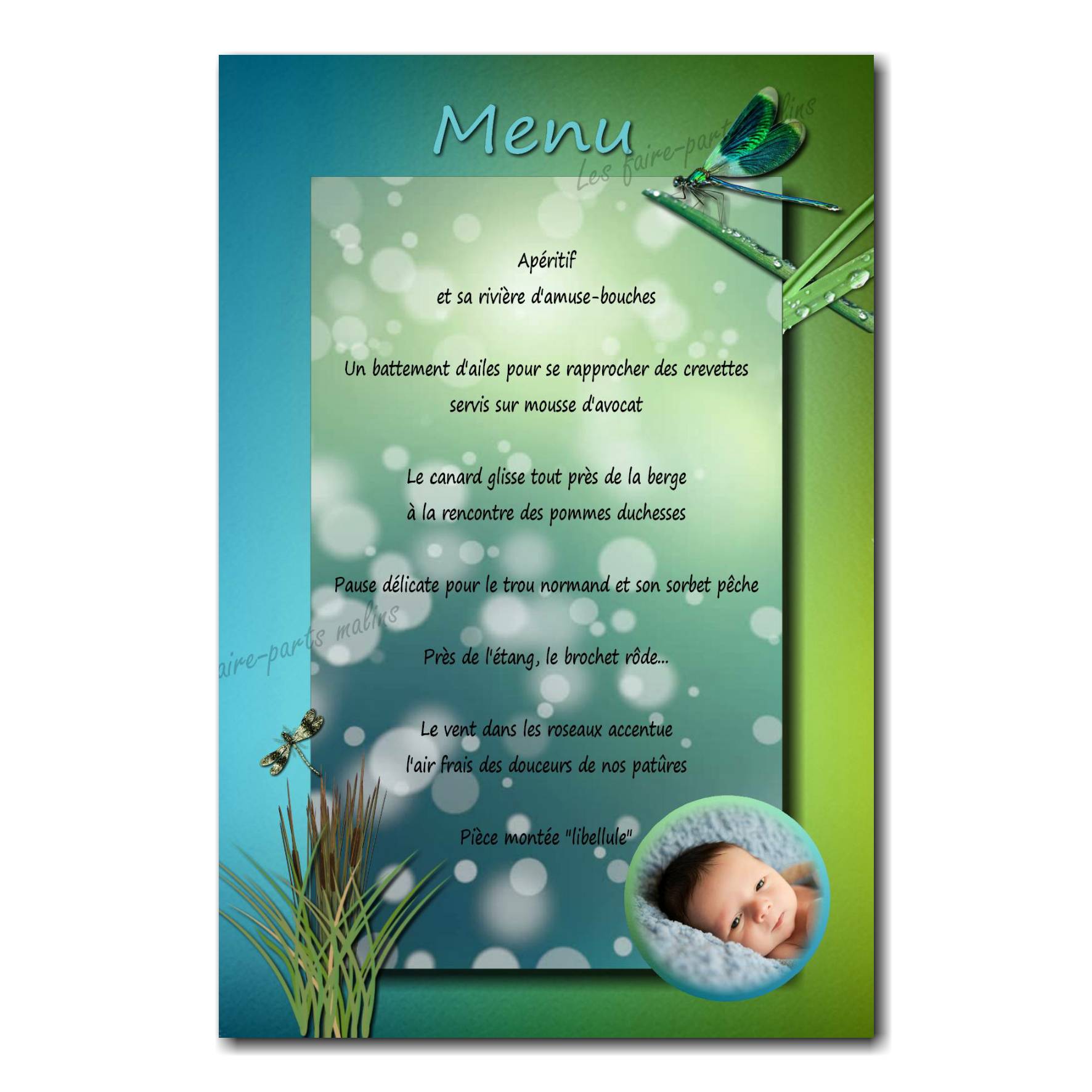 carte de menu avec photo sur fond bleu et vert avec libellule