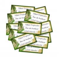 3x6 lot 12 etiquettes dragees